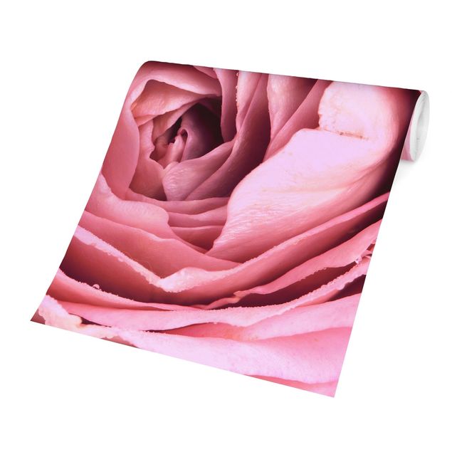 Wanddeko Esszimmer Rosa Rosenblüte
