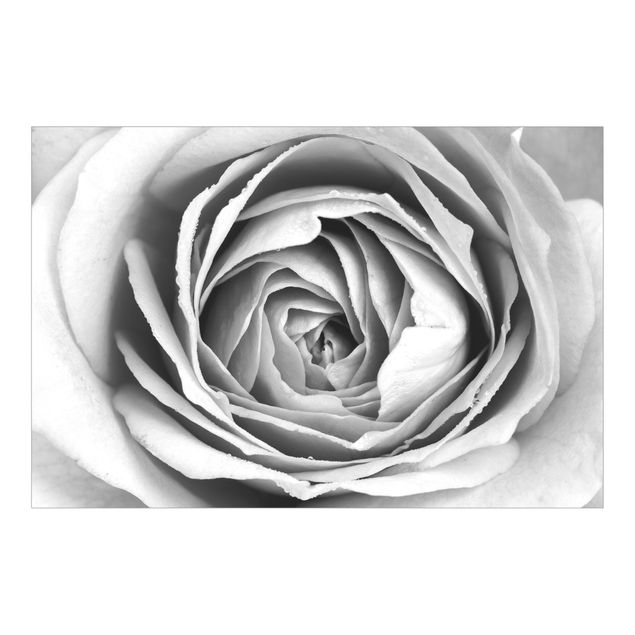Wanddeko Büro Rosa Rosenblüte Schwarz-Weiß