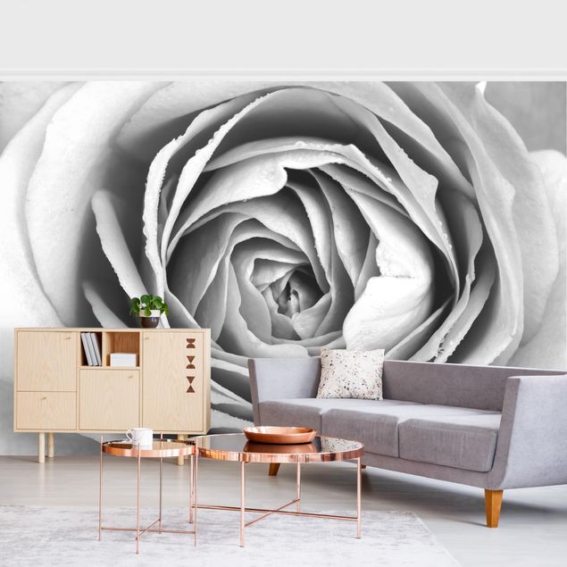 Tapete Rosen Rosa Rosenblüte Schwarz-Weiß