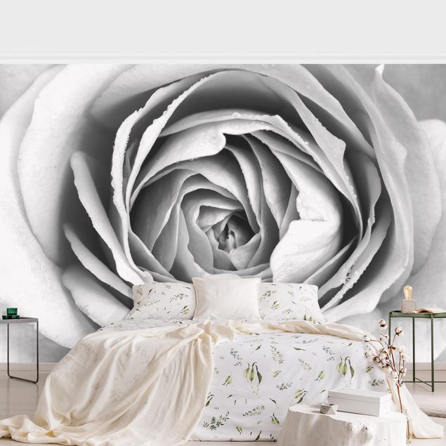 Wanddeko Wohnzimmer Rosa Rosenblüte Schwarz-Weiß