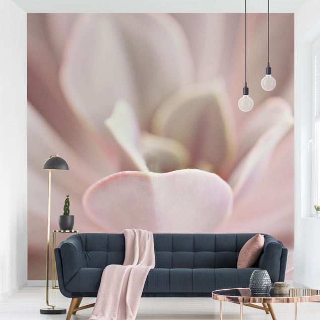 Wanddeko Wohnzimmer Rosane Sukkulentenblüte