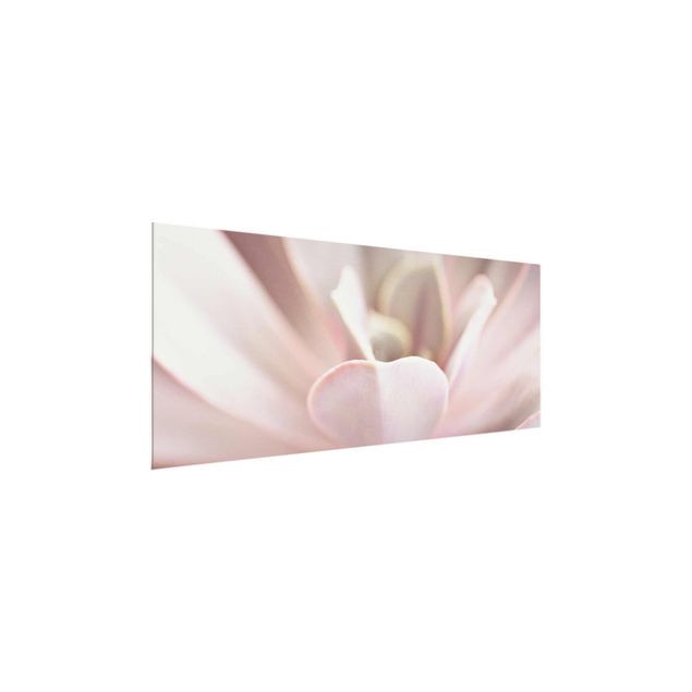 Wanddeko Esszimmer Rosane Sukkulentenblüte
