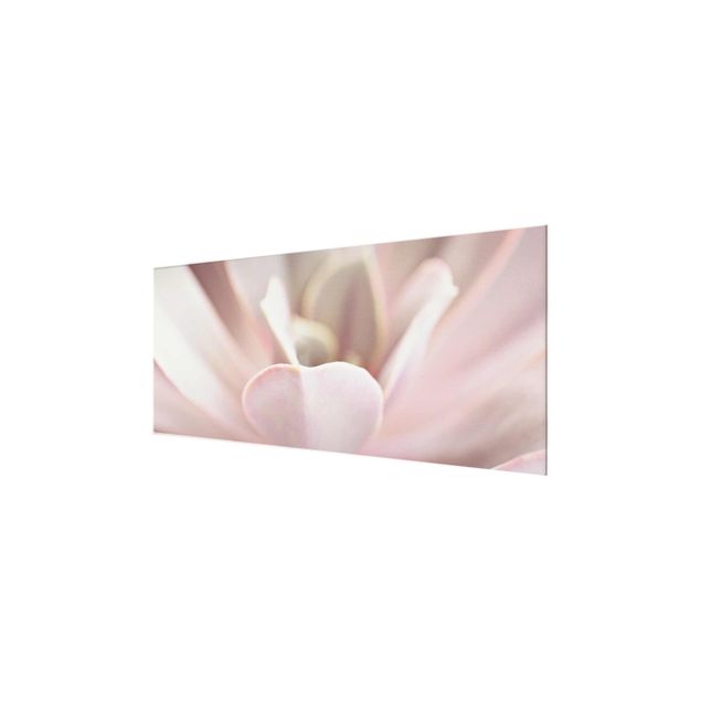 Wanddeko rosa Rosane Sukkulentenblüte