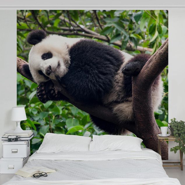 Wanddeko Wohnzimmer Schlafender Panda auf Ast