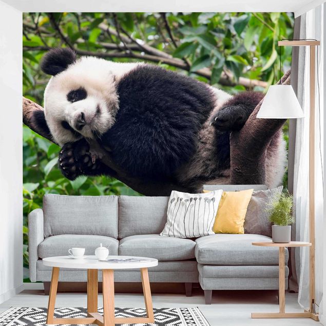 Wanddeko Flur Schlafender Panda auf Ast