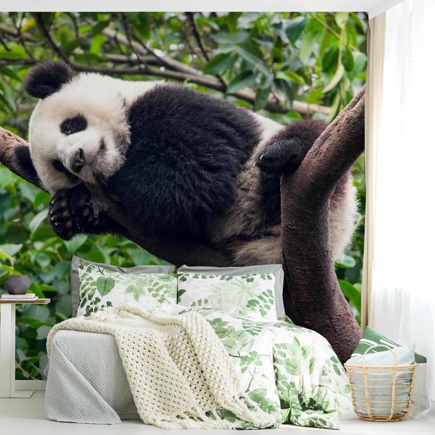 Wanddeko Esszimmer Schlafender Panda auf Ast