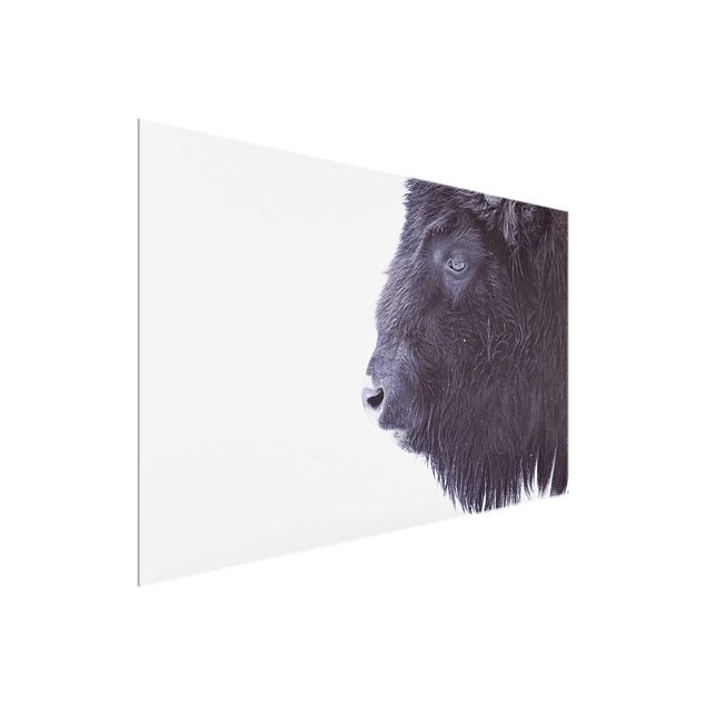 Wanddeko Büro Schwarzer Büffel im Portrait