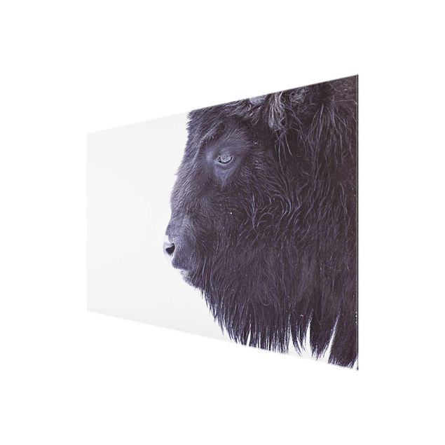 Wanddeko über Sofa Schwarzer Büffel im Portrait