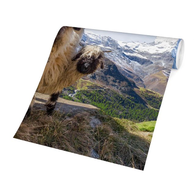 Wanddeko Esszimmer Schwarznasenschafe von Zermatt