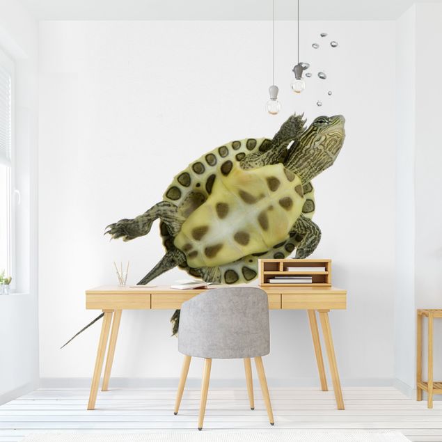 Wanddeko Büro Schwimmende Schildkröte