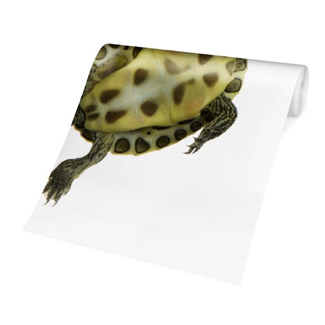 Wanddeko Jungenzimmer Schwimmende Schildkröte