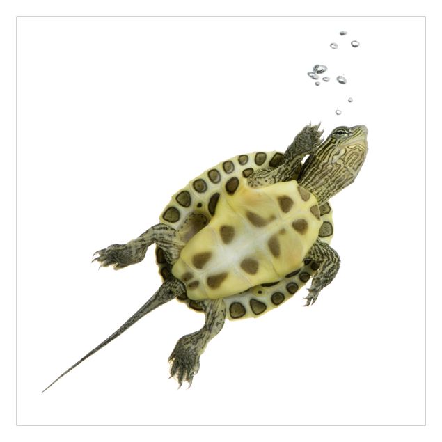 Wanddeko weiß Schwimmende Schildkröte