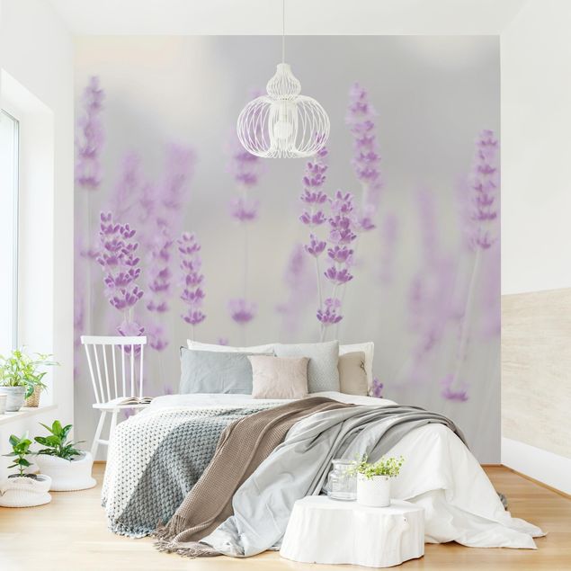 Wanddeko Wohnzimmer Sommer im Lavendelfeld