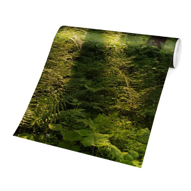 Wanddeko grün Sonnenstrahlen in grünem Wald