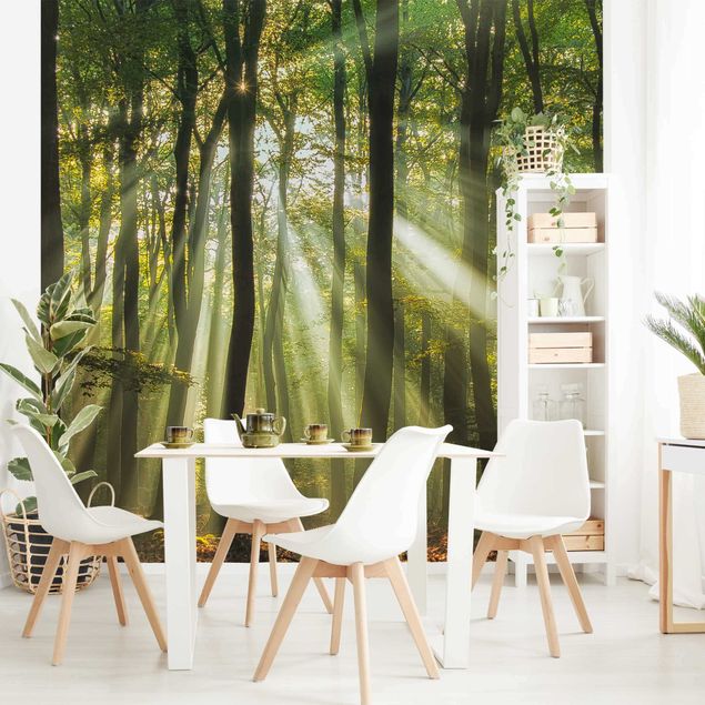 Wanddeko Wohnzimmer Sonnentag im Wald