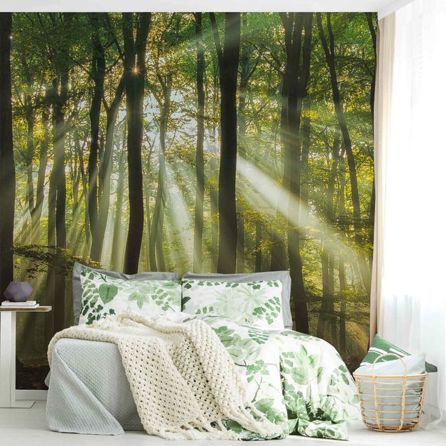 Wanddeko Schlafzimmer Sonnentag im Wald