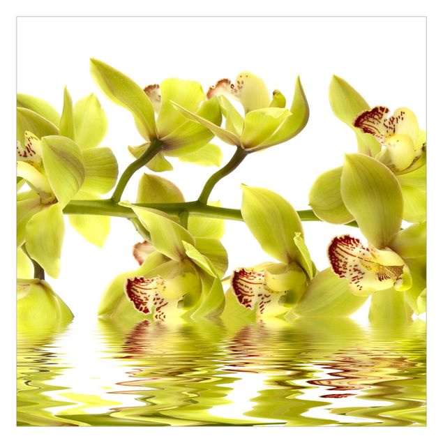 Wanddeko Flur Splendid Orchid Waters