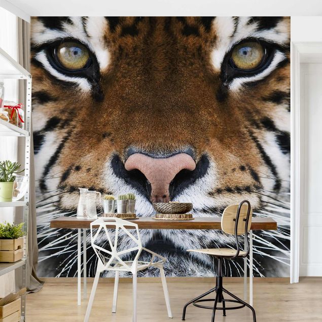 Wanddeko Wohnzimmer Tiger Eyes