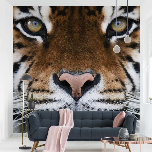 Wanddeko Schlafzimmer Tiger Eyes