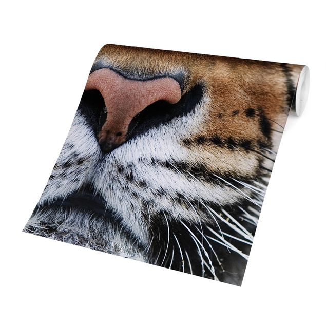 Wanddeko Esszimmer Tiger Eyes