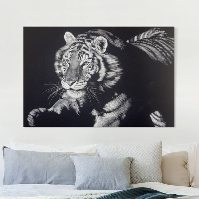 Wanddeko Wohnzimmer Tiger im Sonnenlicht vor Schwarz