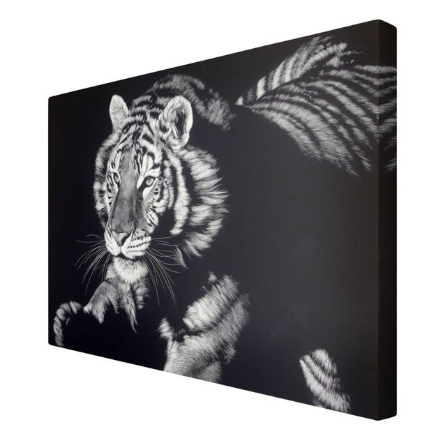 Wanddeko über Sofa Tiger im Sonnenlicht vor Schwarz