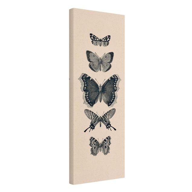Wanddeko Büro Tusche Schmetterlinge auf Beige
