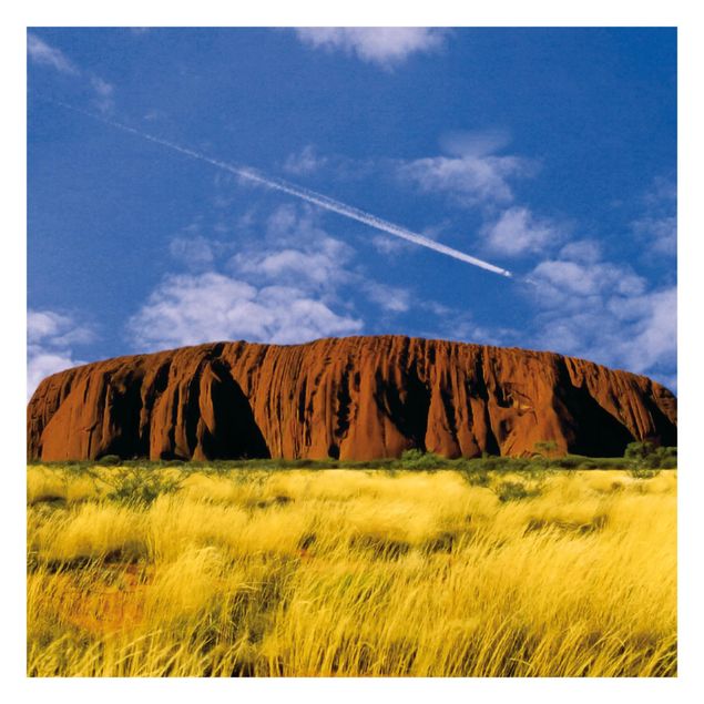 Wanddeko Büro Uluru