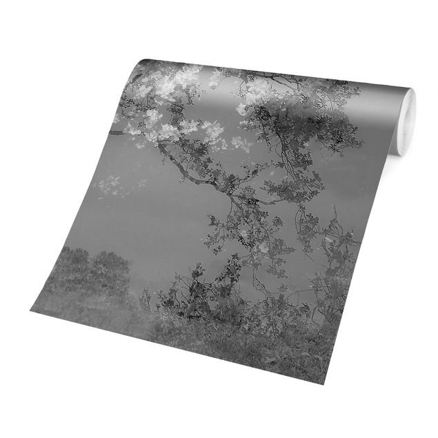 Wanddeko Esszimmer Verträumte Bäume in Schwarz-weiß