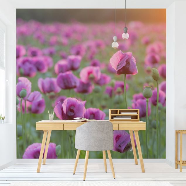 Wanddeko Schlafzimmer Violette Schlafmohn Blumenwiese im Frühling
