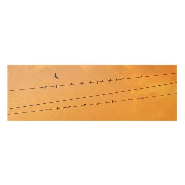 Leinwandbild Vögel Vögel auf der Stromleitung