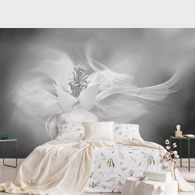 Wanddeko Schlafzimmer Weiße Akelei Schwarz-Weiß