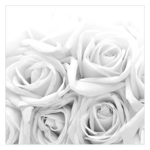 Wanddeko Büro Weiße Rosen Schwarz-Weiß