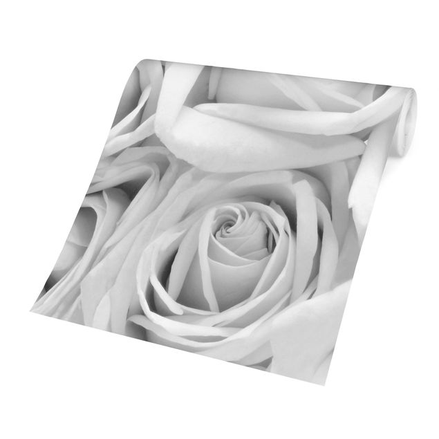 Wanddeko Esszimmer Weiße Rosen Schwarz-Weiß