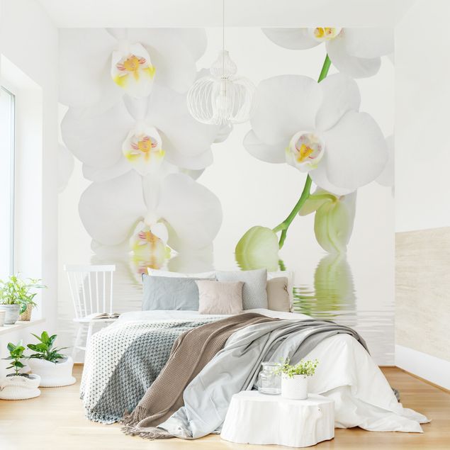 Tapete Orchidee Wellness Orchidee - Weiße Orchidee