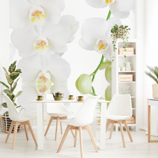 Wanddeko Wohnzimmer Wellness Orchidee - Weiße Orchidee