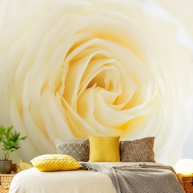 Wanddeko Schlafzimmer White Rose