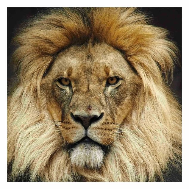 Wanddeko Esszimmer Wisdom of Lion