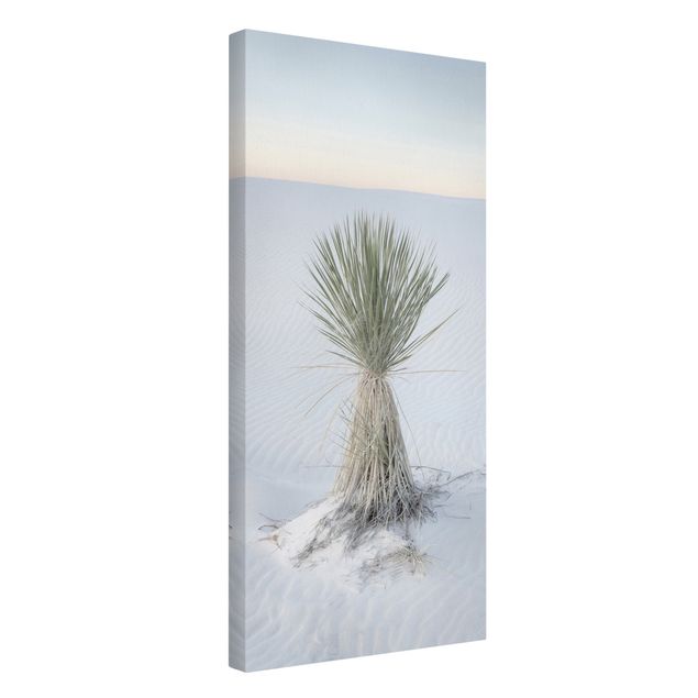Wanddeko Büro Yucca Palme in weißem Sand