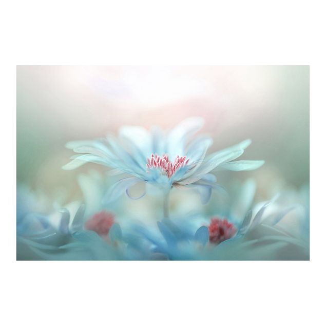 Wanddeko Esszimmer Zarte Blüten in Pastell