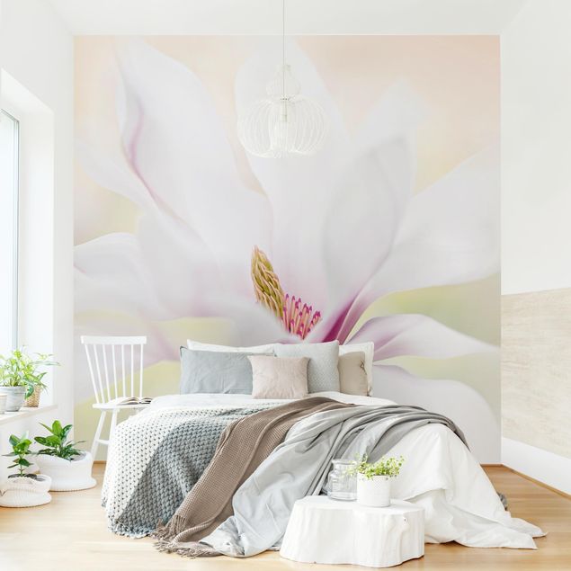 Wanddeko Wohnzimmer Zarte Magnolienblüte
