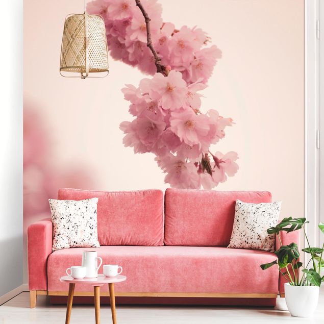 Wanddeko Wohnzimmer Zartrosane Frühlingsblüte mit Bokeh