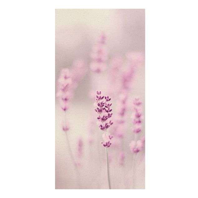 Wohndeko Gräser Zartvioletter Lavendel
