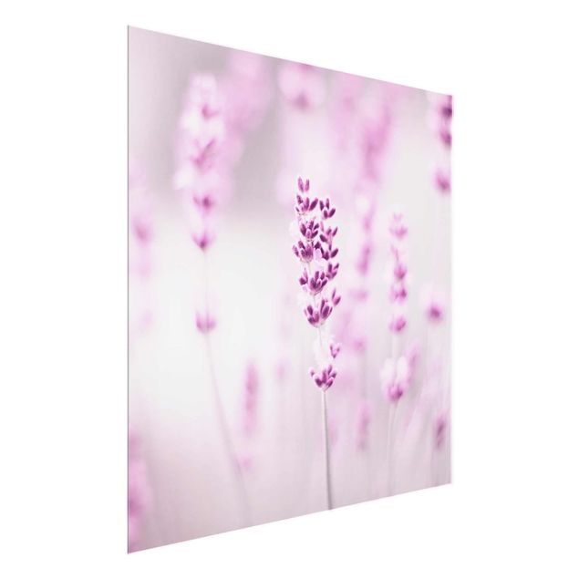 Wanddeko Esszimmer Zartvioletter Lavendel