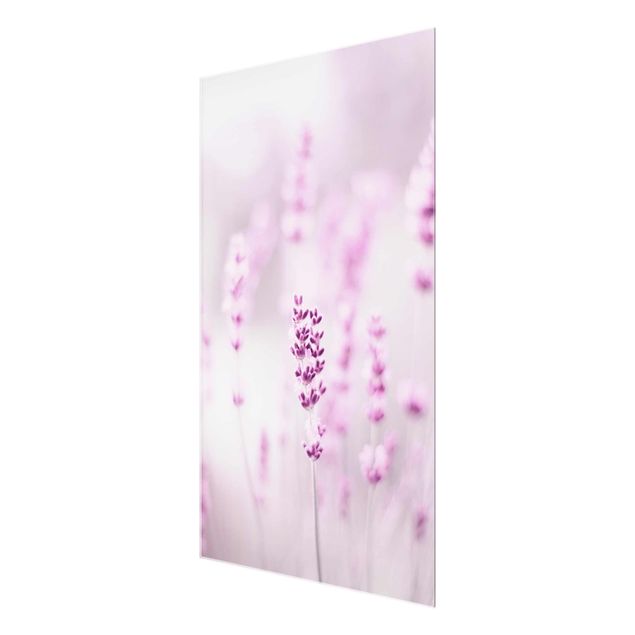 Wanddeko Treppenhaus Zartvioletter Lavendel