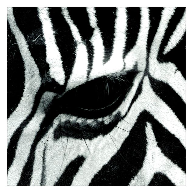 Wanddeko Büro Zebra Crossing