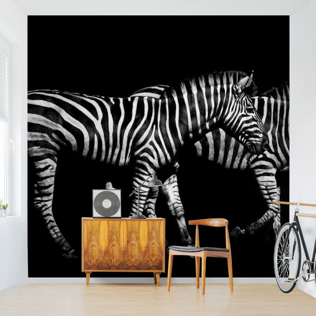 Wanddeko Wohnzimmer Zebra vor Schwarz