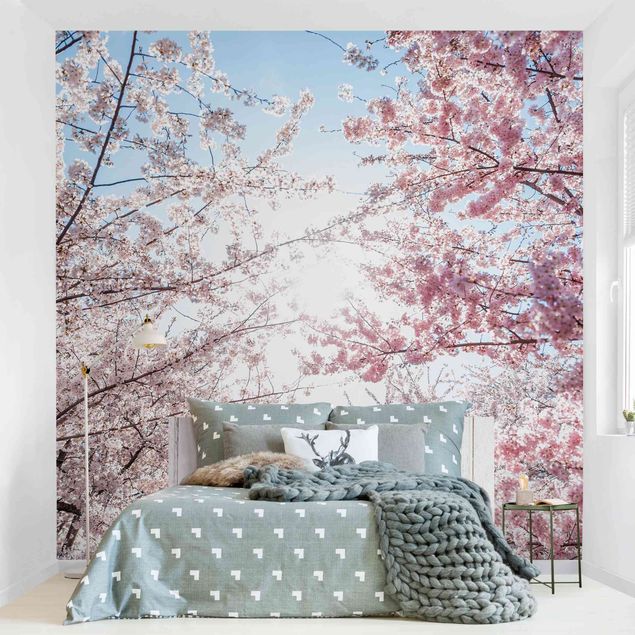 Wanddeko Schlafzimmer Zwischen Kirschblütenzweigen