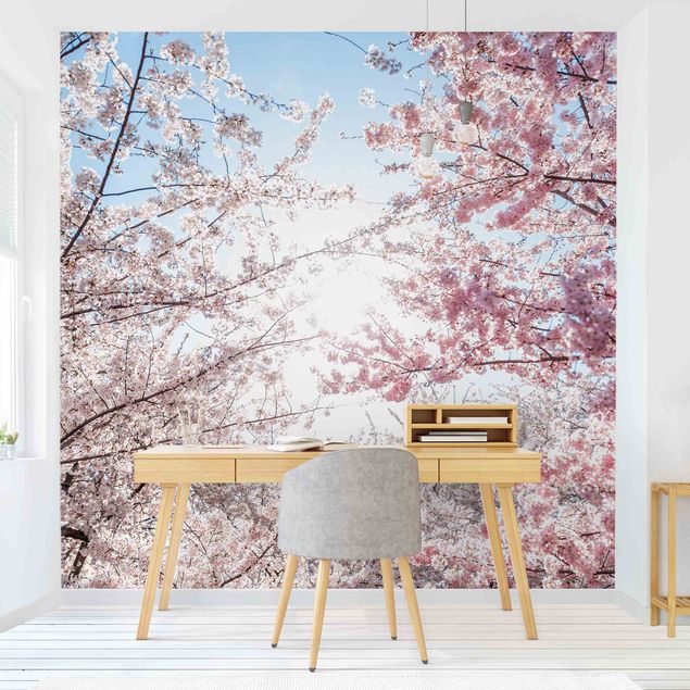 Wanddeko Esszimmer Zwischen Kirschblütenzweigen