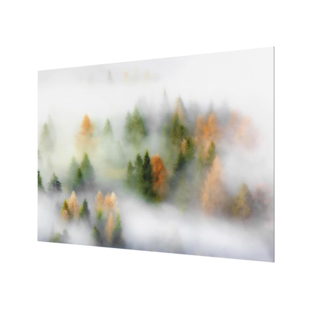 Wohndeko Fotografie Nebelwald im Herbst
